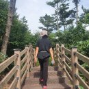 팬션나라 이미지