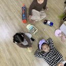 불란서등갈비 | ♥염남매 1/1~1/15 일상, 새해, 안과검진(사시검사), 엘시티뷔페, 더뷰, 6세인생 첫 자전거:)