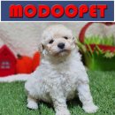 만식이네 이미지