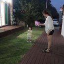 피그말리온펜션