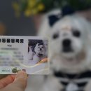 미르네농장 이미지