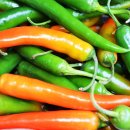 영양고추유통센터 이미지