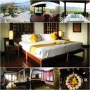 에버그린여행사 이미지