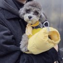 KH프라자 이미지