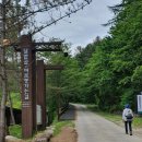 소백산삼가동유곡민박 | 당일로 다녀온 소백산 철쭉 축제(2022.5.30)