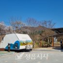 내장산국립공원 내장호야영장 이미지