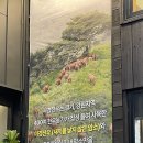 [역삼 맛집] 서경한우 역삼점