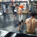 아톰mma