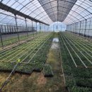 들꽃나라농장 이미지