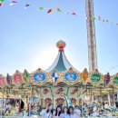 호성식당 이미지