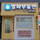 알짜부동산공인중개사사무소 이미지