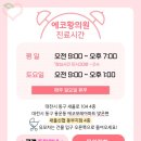 에코황의원 이미지