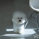 포케올데이 파주야당점 이미지