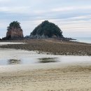 더블루네스 이미지