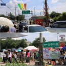 함안 강주 해바라기 축제 안내 이미지