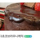키쿠케이크 이미지