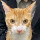 강동큰숲동물병원 이미지