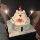 포토이즘박스울산대학교점