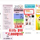 한양동물메디컬센터 이미지