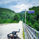 인다락벚꽃길 | 2024.06.23 충주까지 남한강따라 강변도로 여행 (인다락 벚꽃길, 철새전망대, 목계나루 강배체험관)