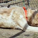 실상농장 이미지