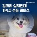 신세계동물의료센터 | 양산 서창 동물병원 : 강아지 십자인대 파열 TPLO 수술 신세계동물의료센터