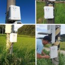 관수야관수 이미지