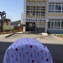 해운대초등학교후문 이미지