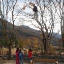 선리마을 Daum카페