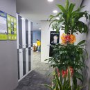 호구포 당구장 이미지