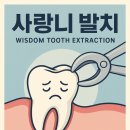 서울한스치과의원 이미지