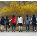 용기네 농장 이미지