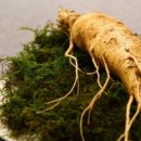 삼마농장 이미지