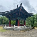 반야사불상 | 호랑이의 기운 영동 반야사(청사자를 타고 있는 문수보살의 성지)