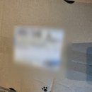 부여 굿뜨래몰에서 주문한 밤뜨래 우리나라맛밤 솔직후기