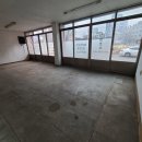 이레네 강아지 이미지