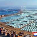 인원농장 이미지