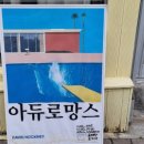 아듀로망스