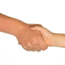 꽃 - 화해 이미지