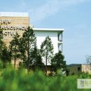 꿈앤궁전 이미지