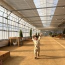 소이농장 이미지