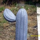 우경농장 이미지