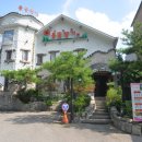 들꽃전통차