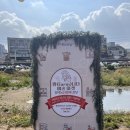 [경기광주 플리마켓] 미닝오브 X 레진 아트 제스모나이트 플리마켓 참가