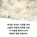 전라북도청 실내체육관 이미지