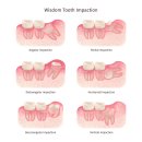 새로운 함쌤 생활영어 | [블챌3] 12.08 ~ 12.14 15주차 (feat. 내 소중한 친구들아 고마워)