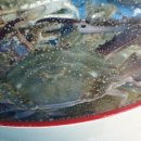 으뜸50안경 상암DMC점 이미지