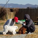 공승연님, 정연(트와이스), 모모(트와이스) 님 봉사 감사드립니다~! 이미지