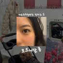 모드니뷰티 - 진주시 | [제주/뷰티] 모드니살롱 • 제주속눈썹연장 잘하는 곳 • 반려견 동반 후기