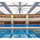 대우스넥 이미지